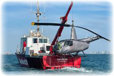 TowBoatU.S. - Helicopter
