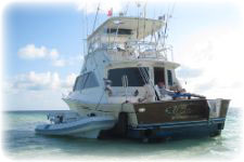 TowBoatU.S. - 63' Ocean