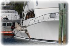 TowBoatU.S. - 32' Carver